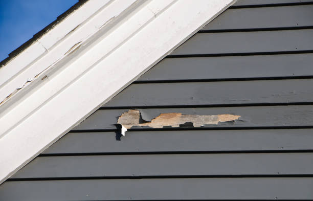 Best Shed Removal  in Westfield, NJ